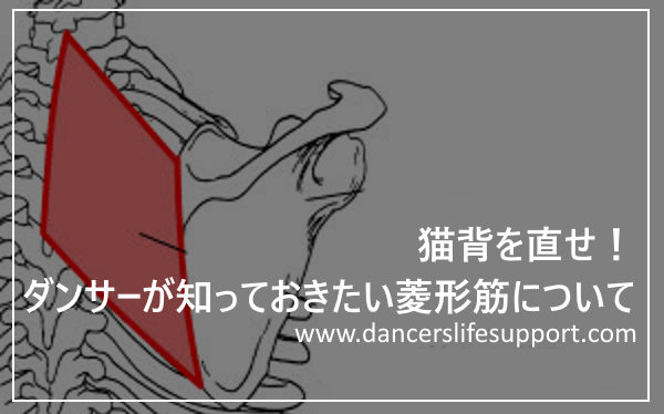 猫背を直せ ダンサーが知っておきたい菱形筋について Dancer S Life Support Com