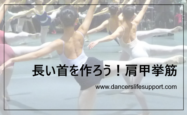 長い首を作ろう 肩甲挙筋 Dancer S Life Support Com