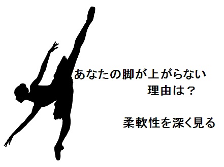 あなたの脚が上がらない理由は 柔軟性を深くみる Dancer S Life Support Com