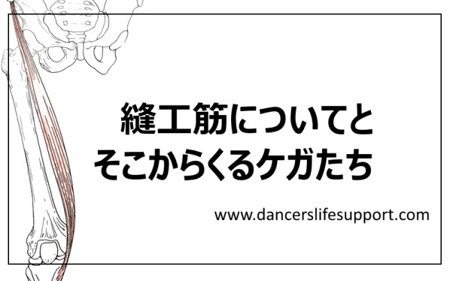 縫工筋についてとそこからくるケガたち Dancer S Life Support Com